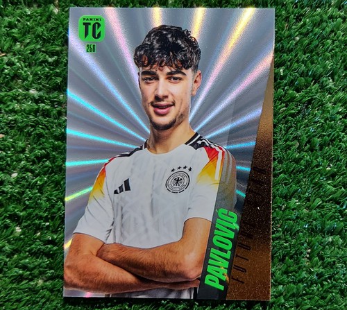 Card panini top - class, fifa
