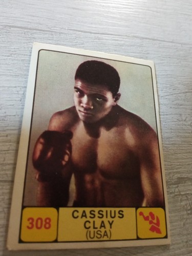 Figurine panini campioni dello - panini,